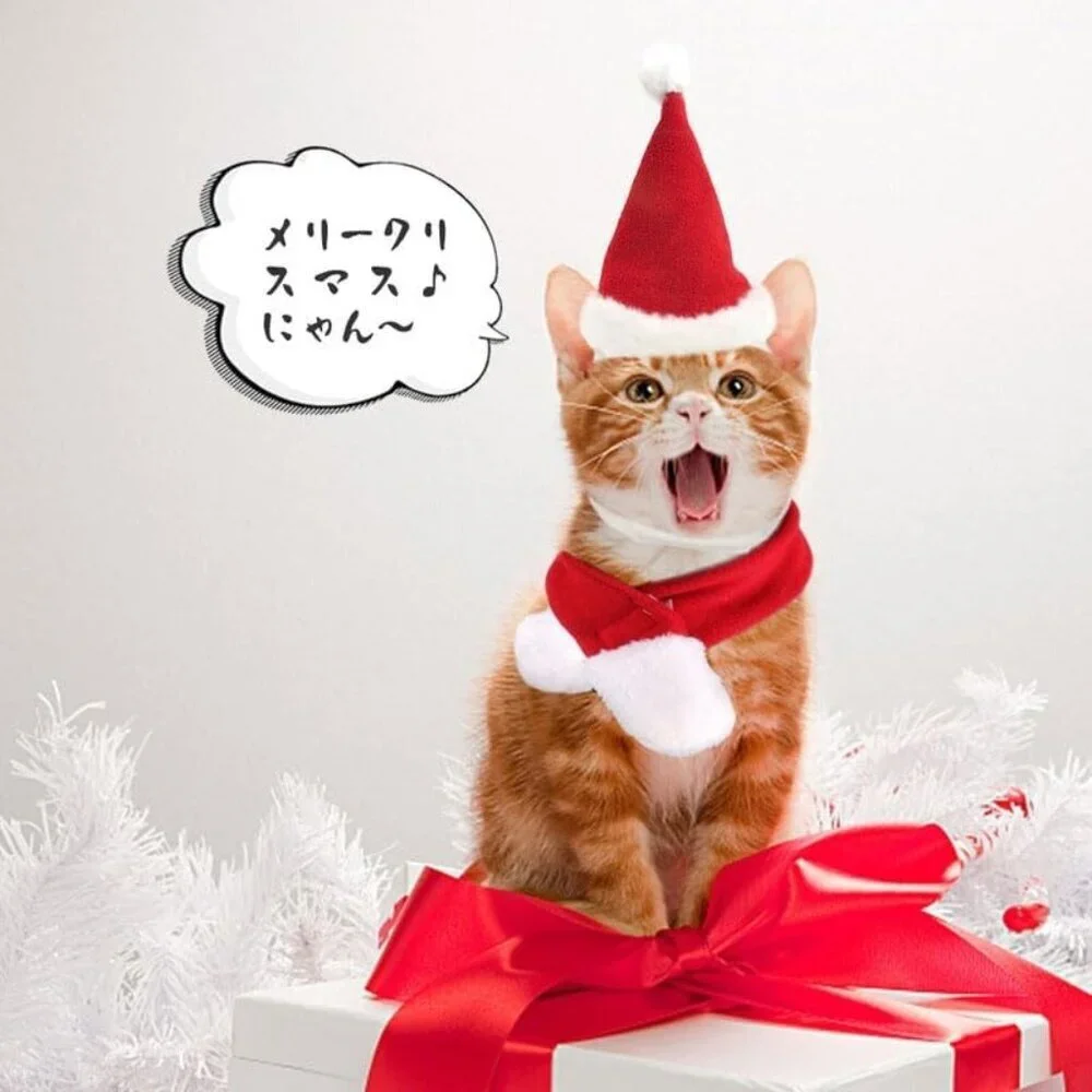 Pet Santa Hat with Scarf – Christmas Costume for Cats, Small Dogs, Rabbit, Red